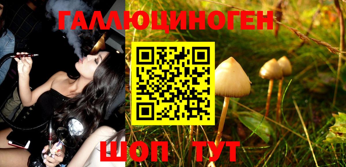 Псилоцибиновые грибы прущие грибы  Кострома 