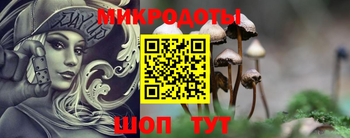 Галлюциногенные грибы Magic Shrooms Кострома